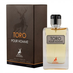 ALHAMBRA TORO POUR HOMME (ПО МОТИВАМ TERRE D'HERMES) 100 мл